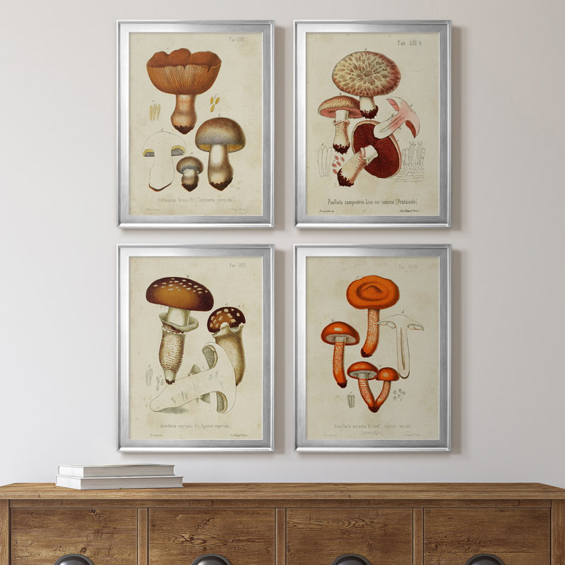Mushroom Variétés I - Ensemble de 4 peintures sur toile encadrées, H 42,5 po x l 122 po x P 1 po, Cadre argenté