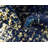 Brandt Rug-578055016-580685337-599283162