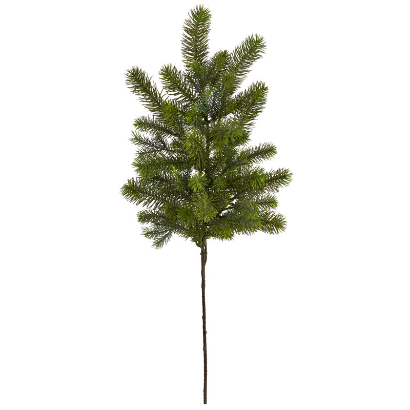 Pine Arrangement