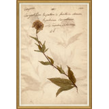 Herbarium 6 Painting by Soicher Marin Archives