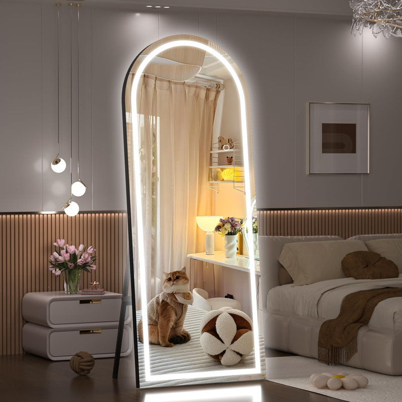 Phaih Arch Modern & Contemporary Lighted Full-Length Mirror with Tempered Glass & 3-Year Warranty, 70.8" x 31.5", Black