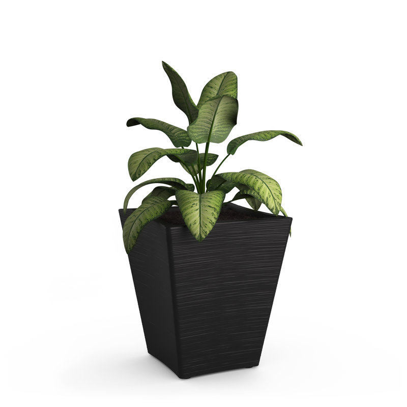 Pot à fleurs en plastique en polyéthylène Spero, Noir