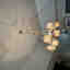 Photos des clients 1 de 1