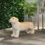 Banc d'extérieur MGO DOG Bench, brun clair, aucun assemblage requis