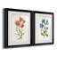 «Botanical I», ensemble de 2 reproductions d'art-271774448-271774477-272082544