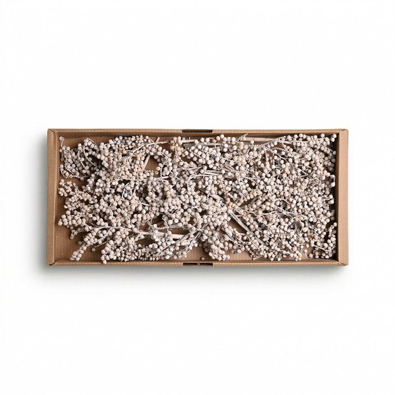 Canella 30Pc Tray