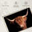 " Scottish Highland Cow "-160610513