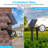 Solar Powered Integrated LED Pathway Light Kit
