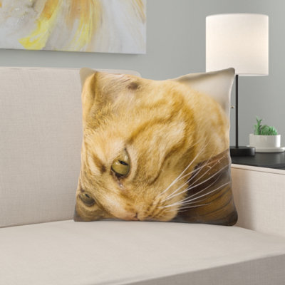 Coussin pour chat