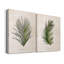 Palm Botanical I - Ensemble de 2 reproductions d'art-100410946-100234438-100234435