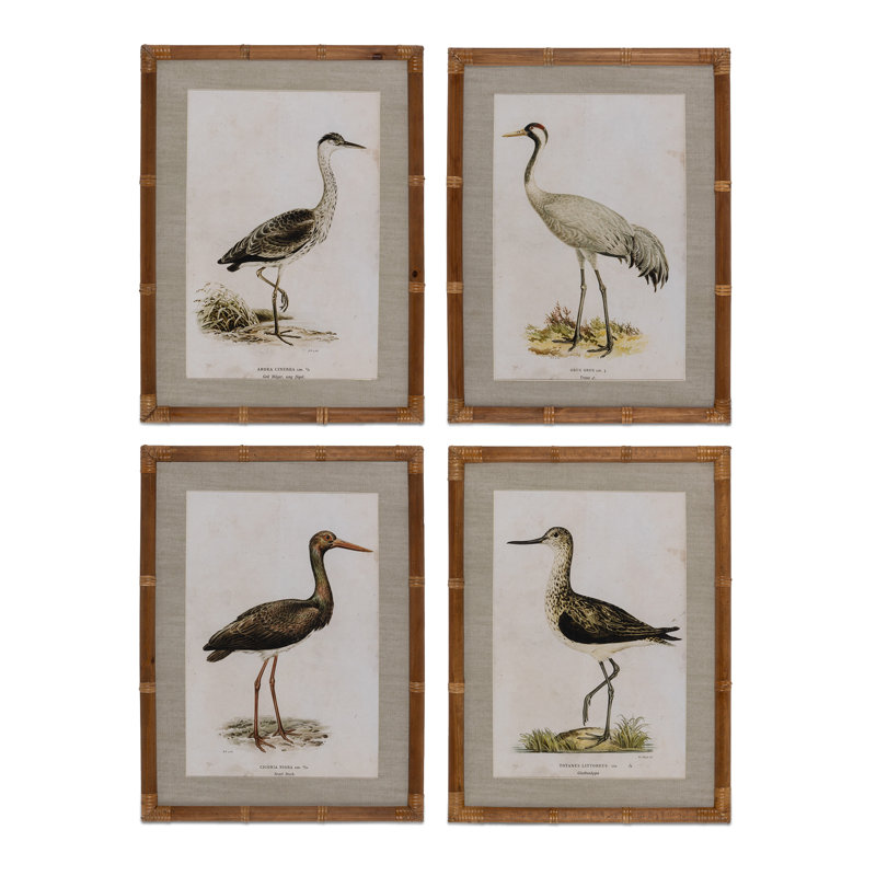 «Wading Bird Prints», ensemble de 4