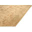 Oriental Area Rug