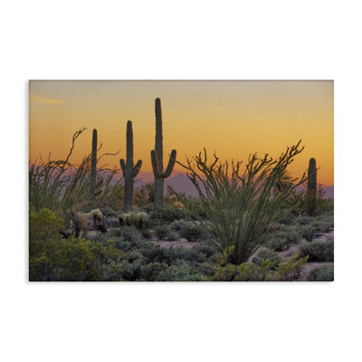 «Sunset Sunset Desertscape Cacti» par Marty Hulsebos