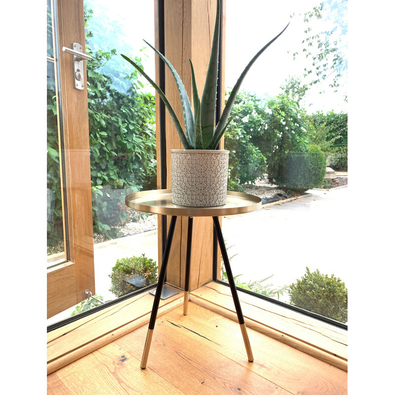 Roger Tray Top End Table, Black, Brass