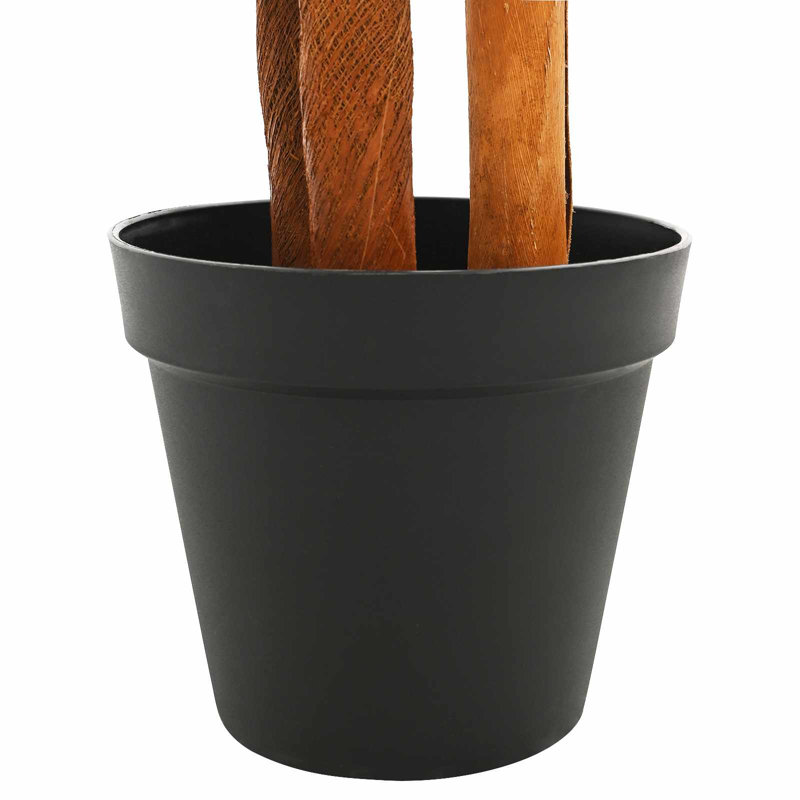 Plant, 180cm H x 75cm W x 25cm D