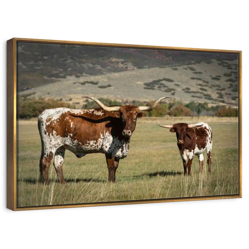 Texas Longhorn et son mollet, 46 po x 31 po, Cadre flottant doré