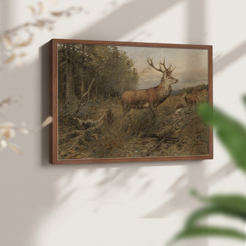 Faune rétro-XXV III - reproduction encadrée - réaménageable, H 16 po x l 20 po, Noyer