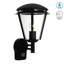 Nellie 38cm H Outdoor Wall Lantern-1358210182