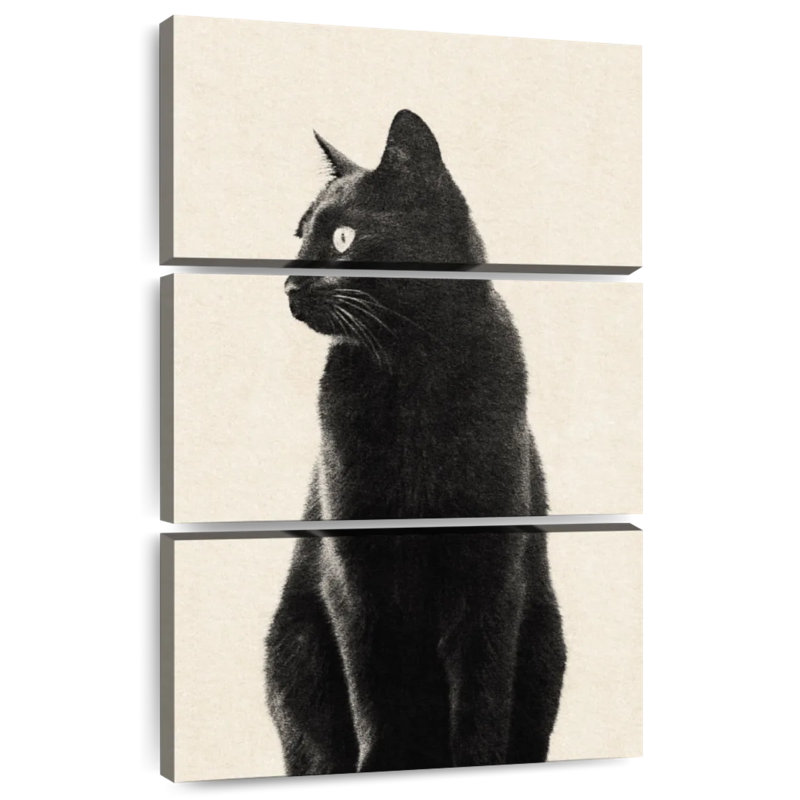 Chat noir Brampt beige, H 32 po x l 20 po