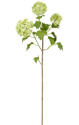 SNOWBALL STEM