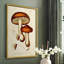 Champignon Variétés VI, reproduction encadrée - bois massif-1445125052-1445125055