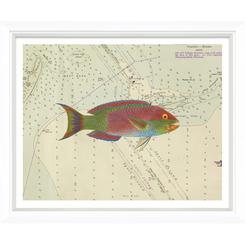 Vibrant Fish 5 Giclee Print