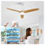 Ventilateur de plafond 52 pouces avec lumière DEL à intensité variable - 3 pales en bois massif, télécommande et moteur CC réversible pour le salon de la chambre à coucher
