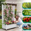 Planter Box With Trellis-1378036583