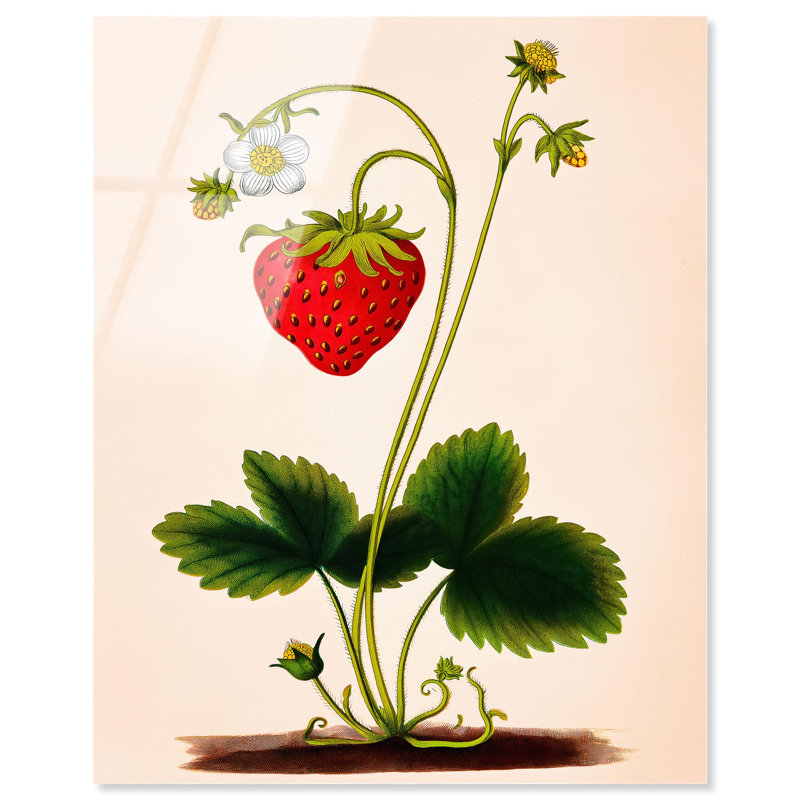 «Strawberry Kitchen», reproduction d'art sur toile par Art Remedy, H 36 po x l 30 po