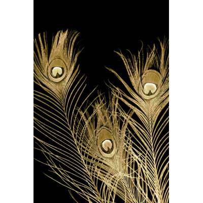 Plumes dorées I