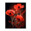 Chantalle - Horloges murales Poppies-641523145