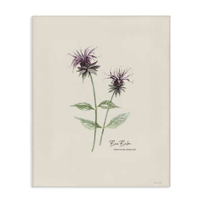 «Bee Balm Herb» par Cindy Jacobs