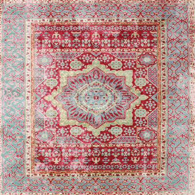 Nekizia Oriental Indoor Rug