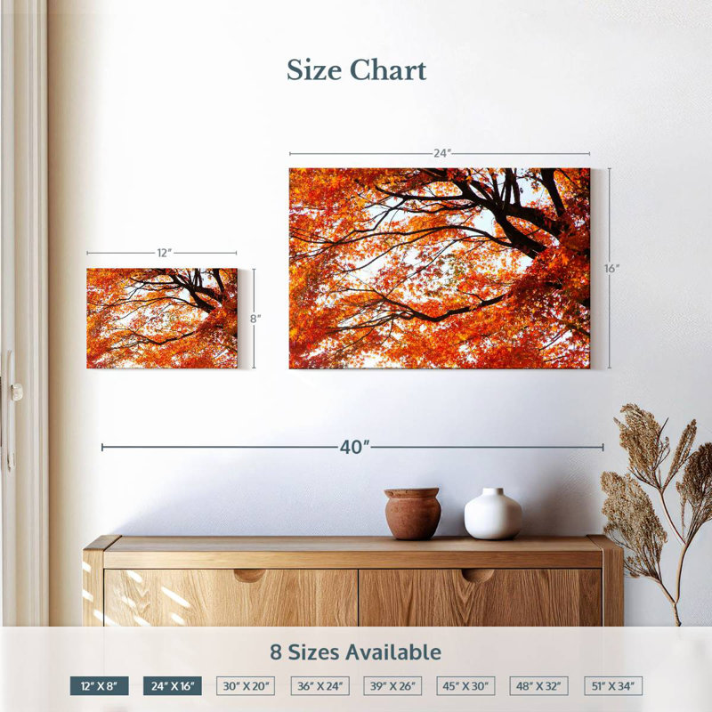 Alvord acer Palmatum en automne, H 16 po x l 24 po