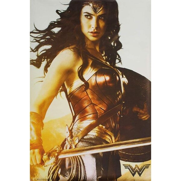 Wonder Woman 1984 Art Print