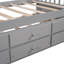 Elegant Grey Twin Daybed With Trundle And Practical Guest Room Drawers In