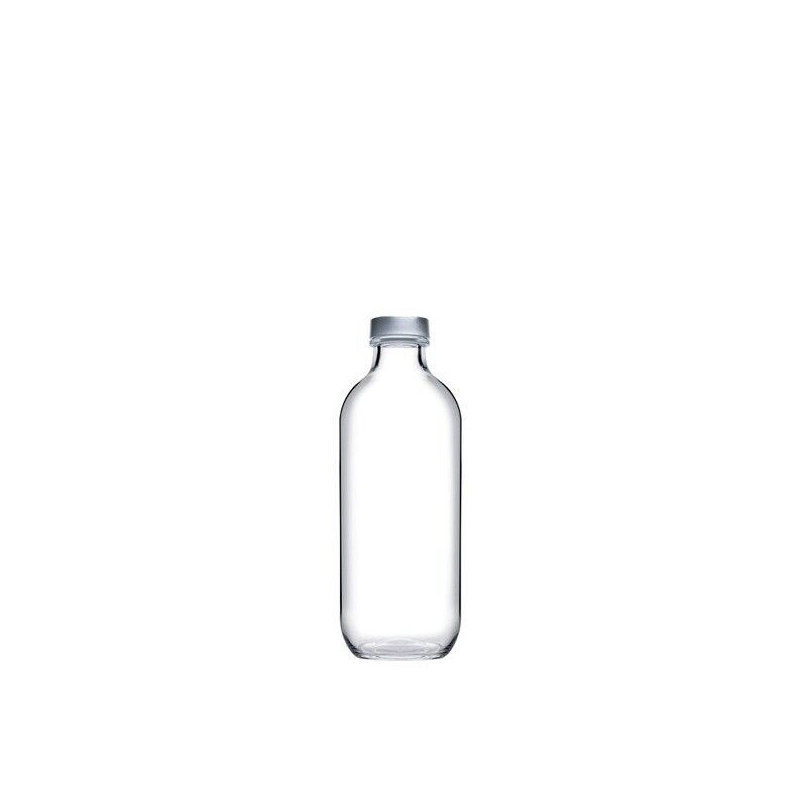 Belfry Kitchen Talreja 360ml Glass Water Bottle