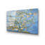 Boze Wall Decor on Tempered Glass