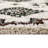 Felipe Green Southwestern Shag Area Rug-918398971