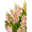 Cora RealTouch Muguet Arrangement-1495091162