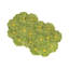 Maria Flor Earthenware Charger