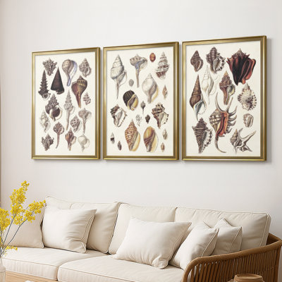 Seashell Array I - Toile tendue avec châssis sur mesure - 3 pièces