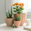 Ensemble de pots à fleurs cannelés en céramique pour l'extérieur et l'intérieur - Pots de fleurs classiques pour la décoration intérieure d'un salon ou d'un patio - ensemble de 3, 15 po, 12 po, 9 po