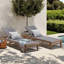 Scheiner 24'' Outdoor Acacia Chaise Lounge-451098116