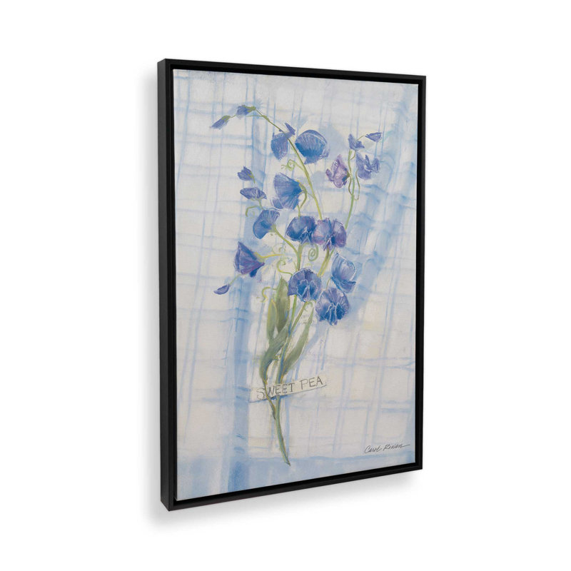 «Sweet Pea on Linen» par Carol Rowan, reproduction d'art, H 16 po x l 12 po, Noir
