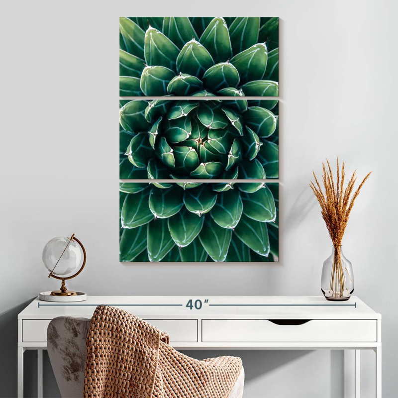 Harnek Blooming Victoria Agave, 32" H x 20" W
