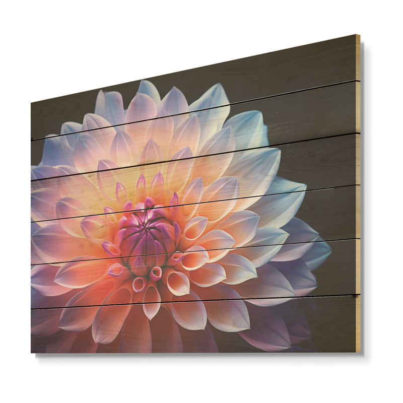 Dahlia rose étreinte efflorescente - art mural en bois de dahlia sur bois de pin naturel, H 30 po x l 40 po