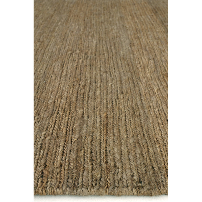 Reaven Hand Woven Indoor / Outdoor Area Rug, Rectangle 2'7" x 4'11"