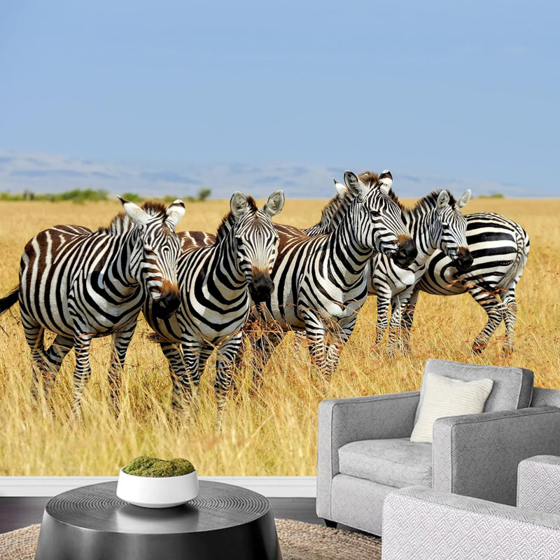 Safari sur le terrain africain Zèbres sauvages Photographie de paysage, L 100 po x l 144 po