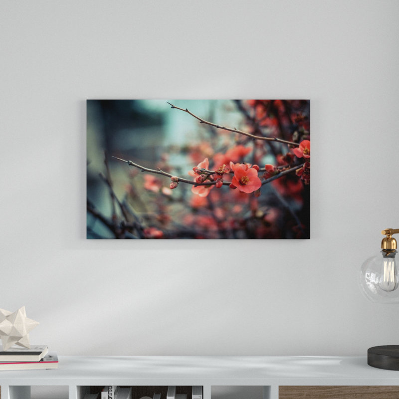 Wrapped Canvas Print, 80cm H x 100cm W x 2cm D
